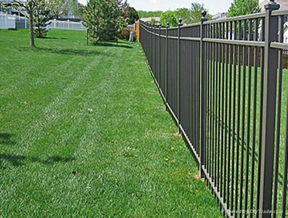 Wrought iron fencing 2