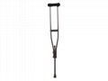 all kinds of walking stick 2