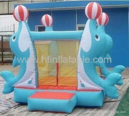 inflatable 5