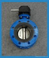 Middle Line Flang Butterfly Valve 1