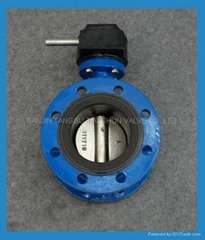 Middle Line Flang Butterfly Valve