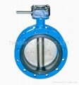 Middle Line Flang Butterfly Valve 2