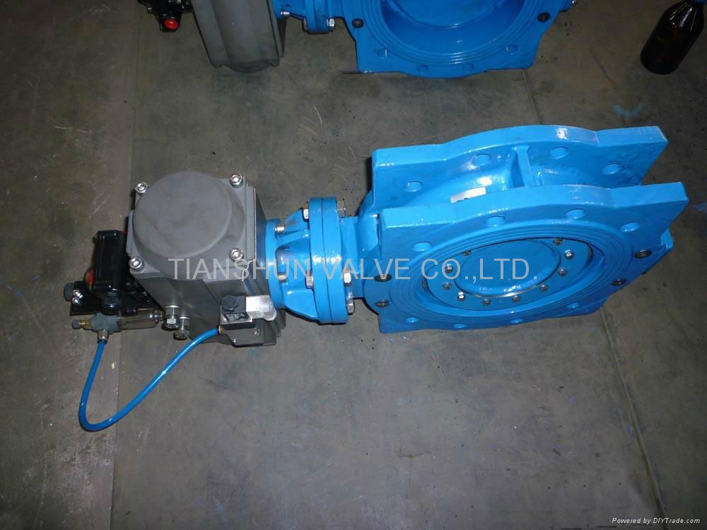 Double Eccentric Butterfly Valve  2