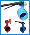 Grooved End Butterfly Valve  1