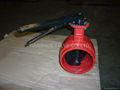 Grooved End Butterfly Valve  3