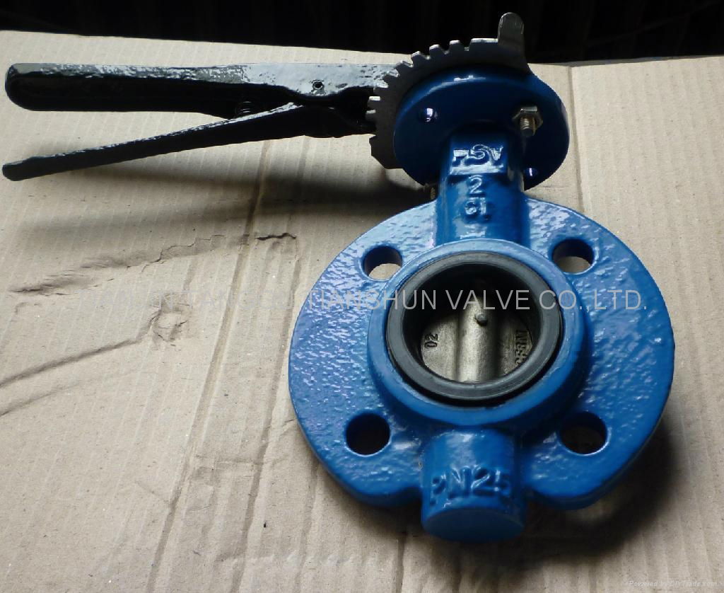 Wafer Lever Butterfly Valve  5