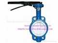 Corrosion Resistant  Butterfly Valve 3