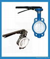  Corrosion Resistant  Butterfly Valve 1