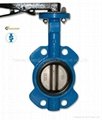 Lever Butterfly Valve 4