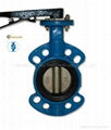 Lever Butterfly Valve 5