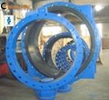 Double Eccentric Butterfly Valve  5
