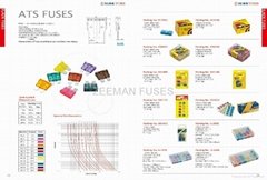 Auto Parts-Fuse-Automobile Fuse    