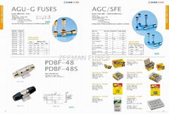 Auto Parts-Fuse-Automobile Fuse