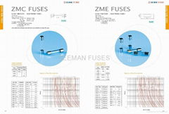 Auto Parts-Fuse-Automobile Fuse