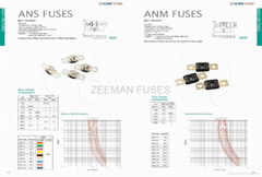 Auto Parts-Fuse-Automobile Fuse    