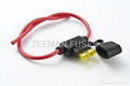 Auto Parts-Fuse-Automobile Fuse 3