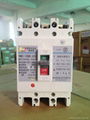 YNM1-100 moulded case circuit breaker 1