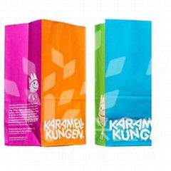 2011 High Quality Morden Paper Shopping Bag