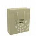 2011 special design High Quality Paper Shopping Bag  1