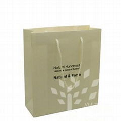 2011 special design High Quality Paper Shopping Bag