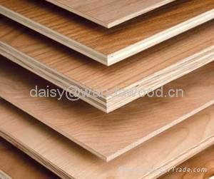 PLYWOOD