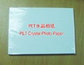 PET crystal photo paper 50 sets / pack 2