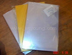 PVC-free laminated -Gold