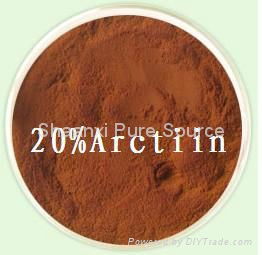 Burdock  Extract 3