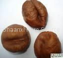 Horse Chestnut Extract 3