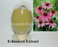 Echinacea Herb Extract