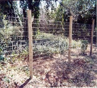 field fence 3