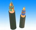 Fluoroplastic insulated flame-proof PVC