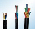 XLPE,PVC insulation control cable