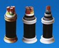 PVC insulated power cable of rated voltage 0.6/1kv