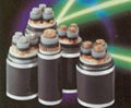 XLPE insulated power cable of rated