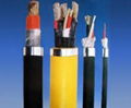 Cable of frequency converter 1