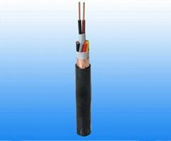 Fluoroplastic insulated instrumental signal cable