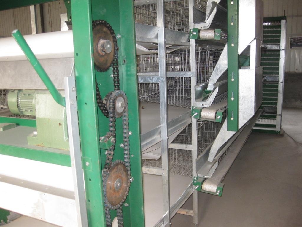 automatic layer cage 4