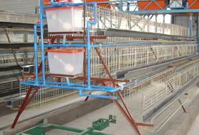 3 tire A type automatic layer cage 3