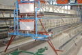 3 tire A type automatic layer cage 3