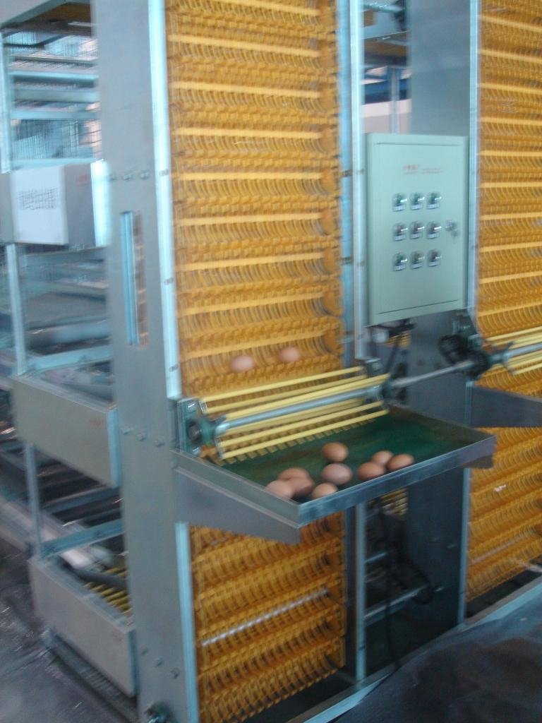 automatic layer cage  2