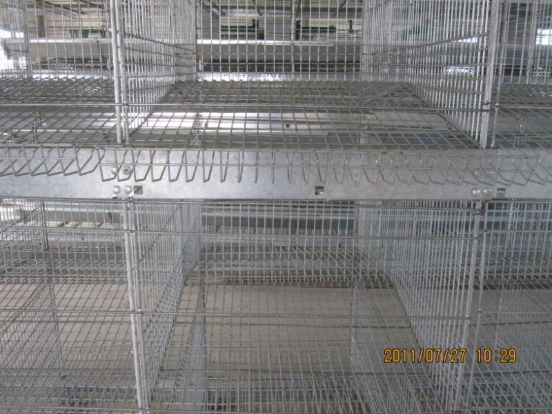 automatic layer cage  3