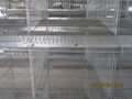 brooder chicken cage