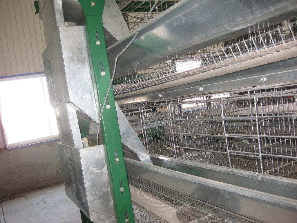 brooder chicken cage  3