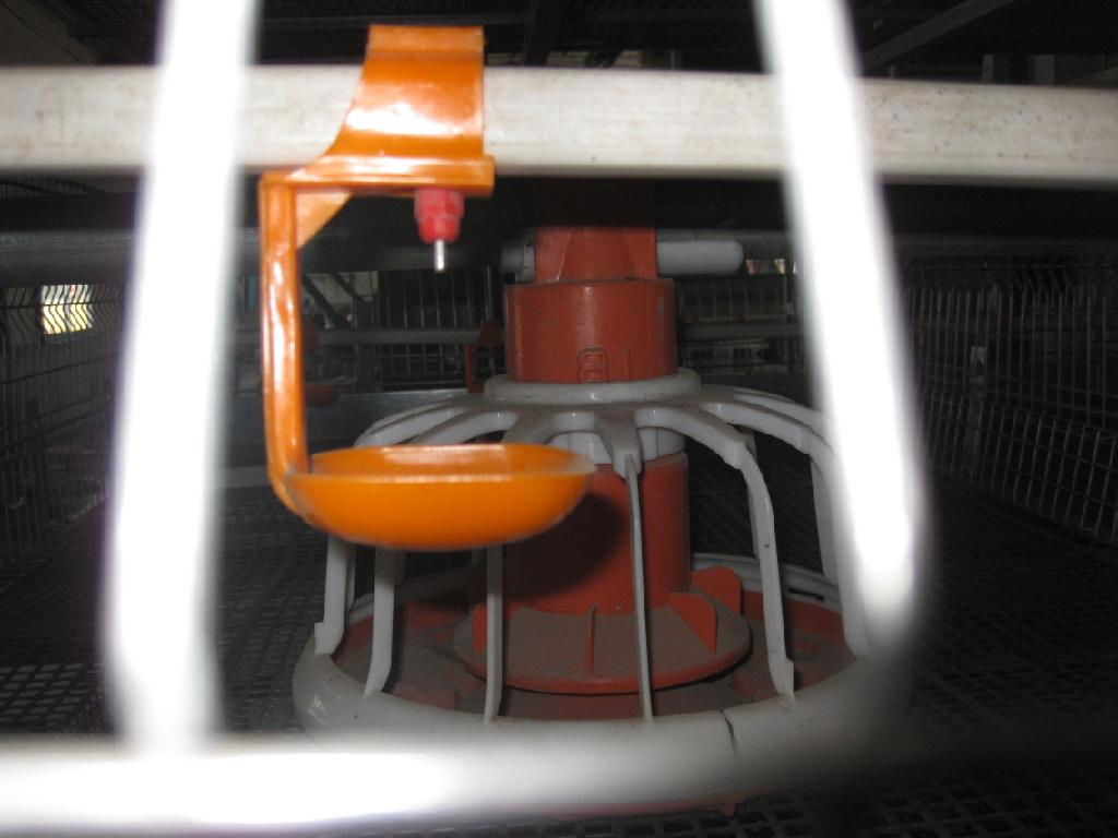 automatic chicken broiler cage 2