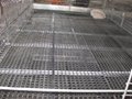 automatic chicken broiler cage 3