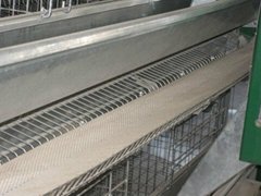 automatic egg layer cage