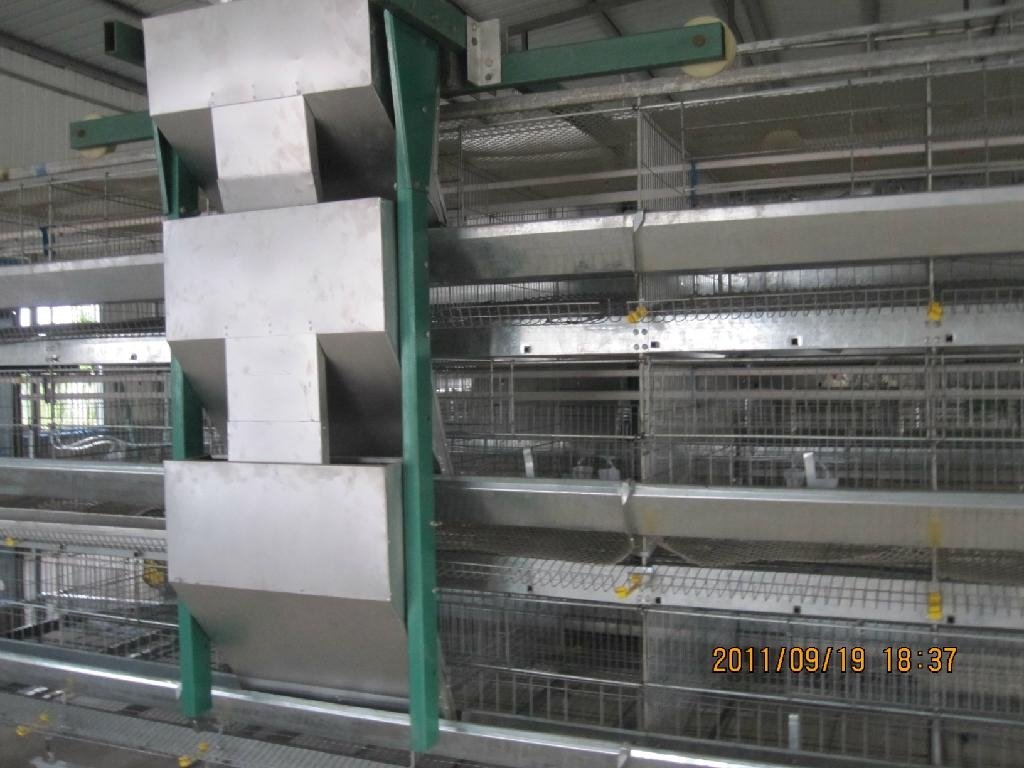 automatic egg layer cage 5