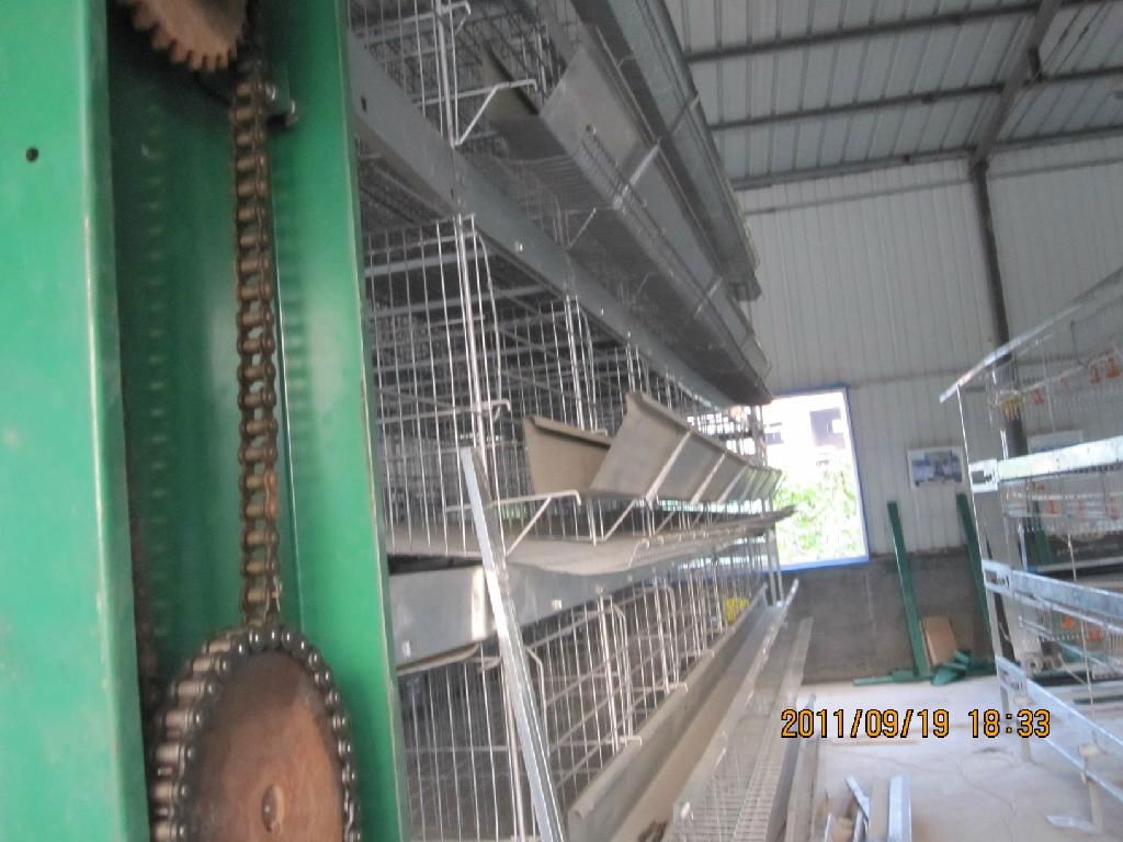 automatic broiler cage