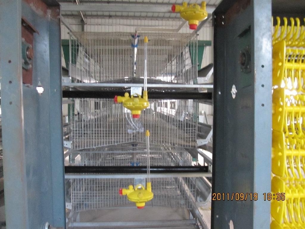 automatic broiler cage 2